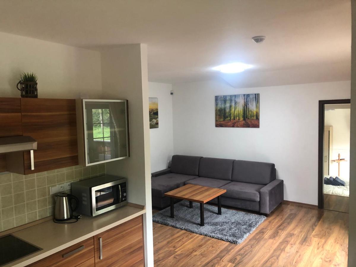 Vila Helena - Apartman Helena 15 Lejlighed Ruzomberok Eksteriør billede